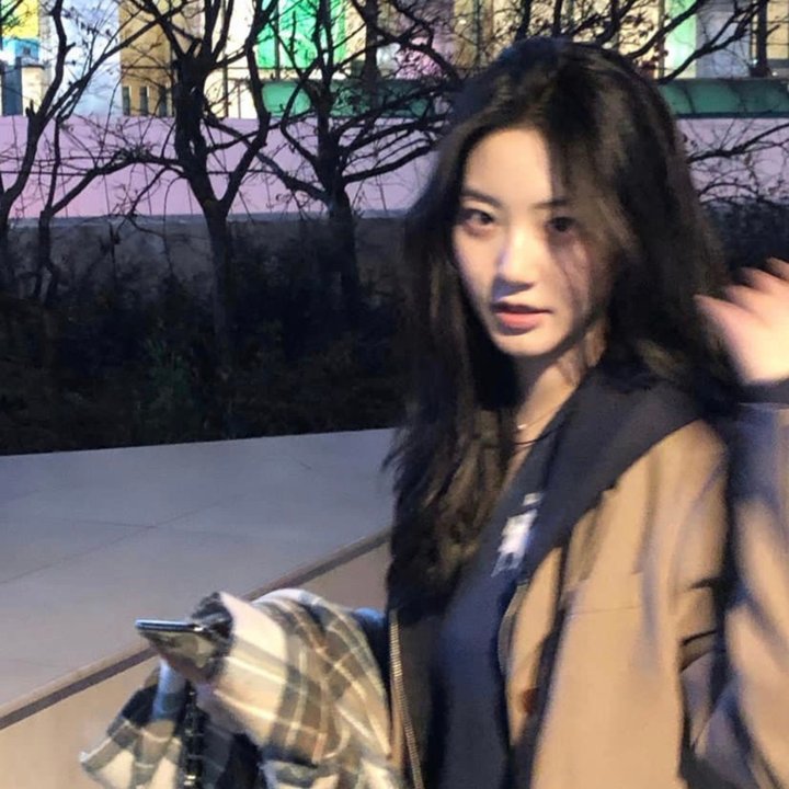 13朵玫瑰