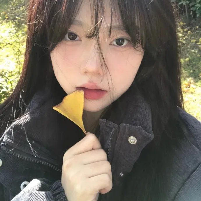 一起露营吧